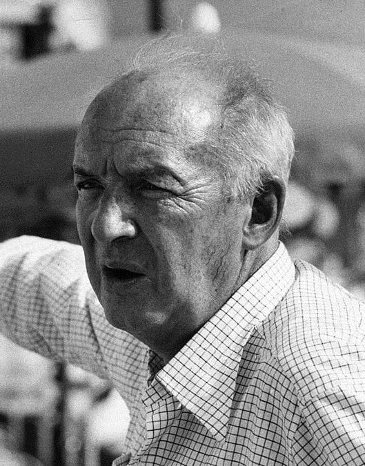 Vladimir Nabokov