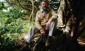 John Fowles posa em sua casa em Lyme Regis, Dorset, em 1985, sentado em uma arvore de casaco bege calcas cinza, um lenço no pescoço.
